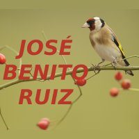 benitoruiz